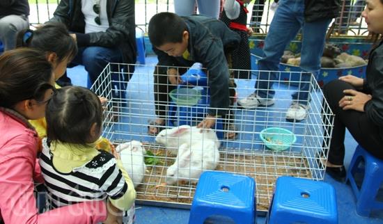 Các điểm vui chơi Thủ đô đông du khách nhí ảnh 3